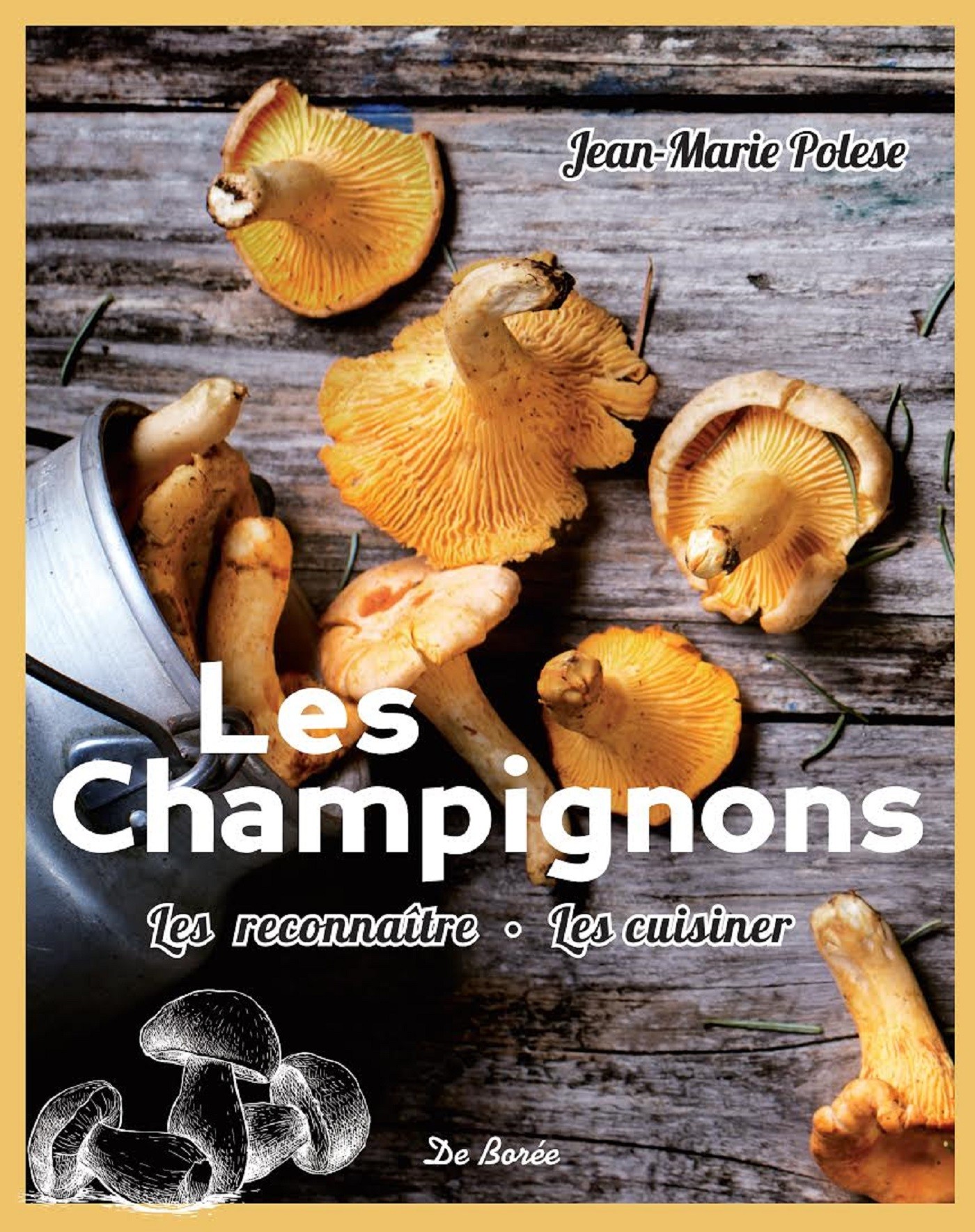 Les Champignons: Les reconnaître - Les cuisiner