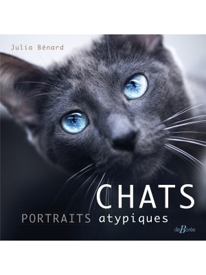 Chats, portraits atypiques
