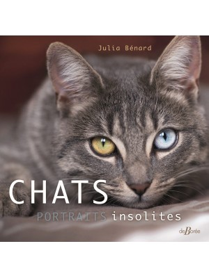 Chats, portraits insolites