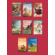 Collection 8 romans Poche 2025