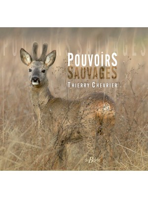 Pouvoirs sauvages