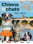 Chiens & Chats du Loiret
